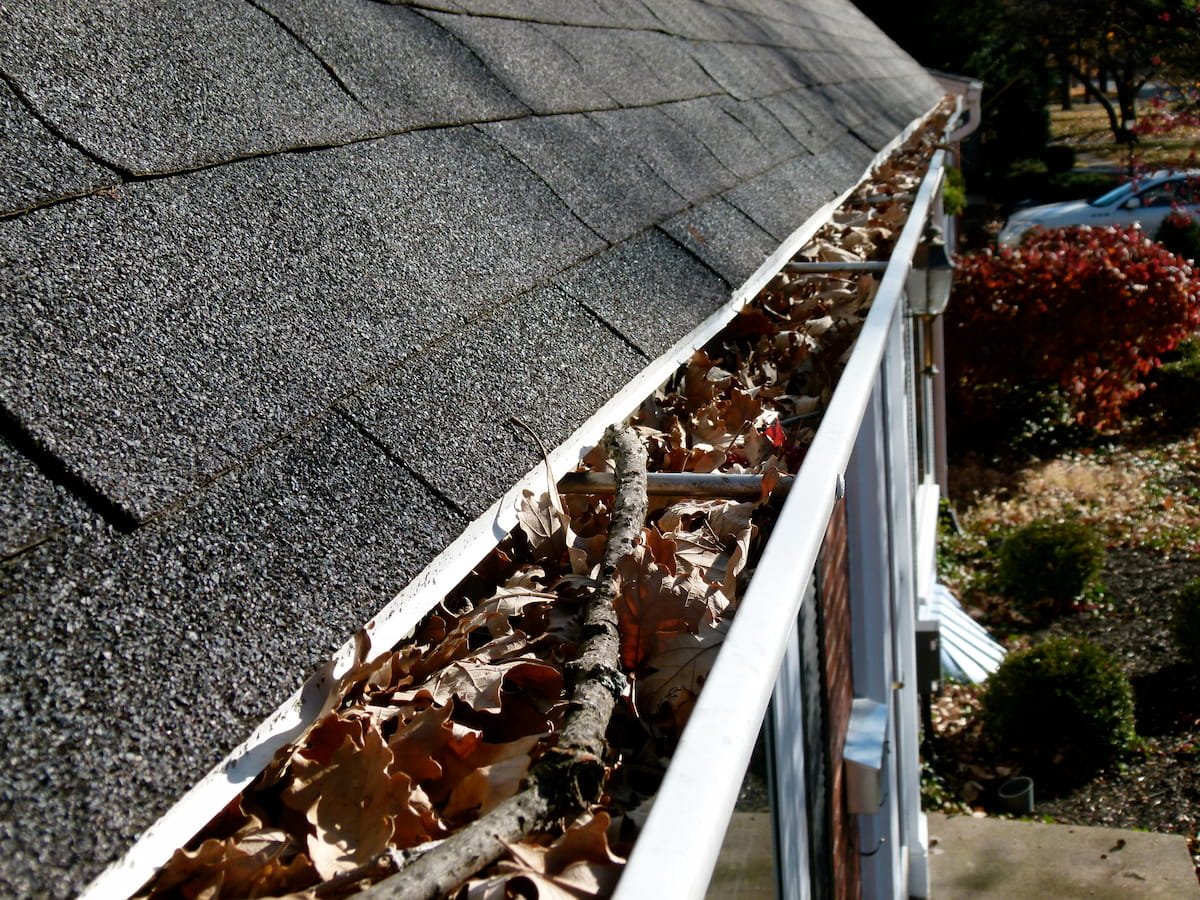 Clogged gutter filled with leaves and debris before gutter cleaning in Ennis, TX