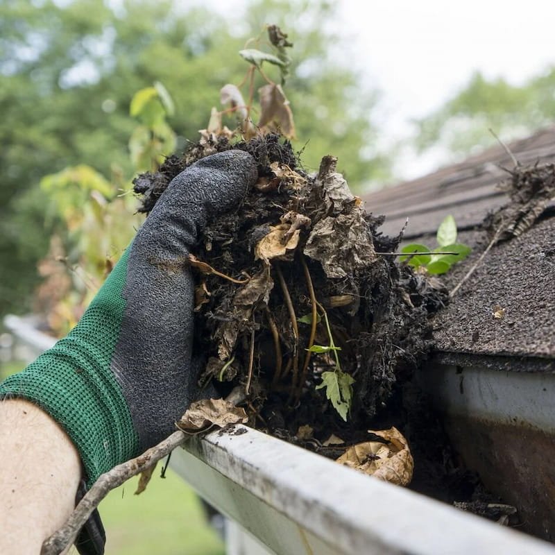 Gloved hand removing thick wet leaves and mud from a clogged roof gutter.