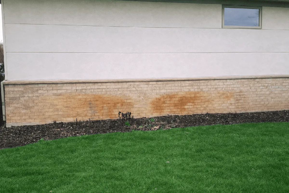 Brick wall with rust and irrigation staining before stain removal