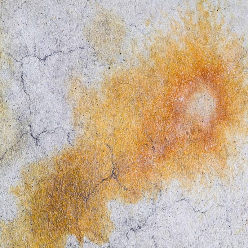 Bright orange rust and irrigation water stain baked into porous concrete.